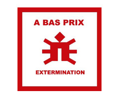 À Bas Prix Extermination: Expert Exterminator Services in Laval