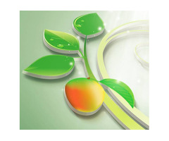 La Petite Mangue: Authentic Cambodian Cuisine in Laval - Catering Available