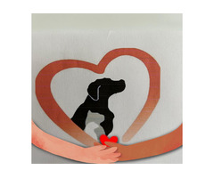 Auberge Zen Refuge: Laval's Compassionate Animal Shelter & Adoption Center