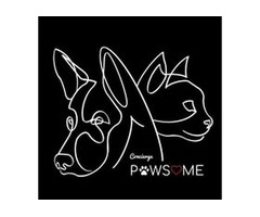 Pawsome Pet Concierge: VIP Pet Care in Laval - Reliable, Safe & Personalized