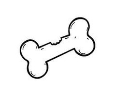 Les Mordus du chien: Laval's Passionate Dog Training, Boarding & Daycare Experts