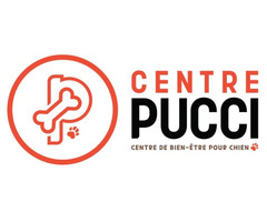 Centre Pucci: Laval's One-Stop Shop for Happy, Healthy Pets! - Daycare, Boarding, Grooming & Mor