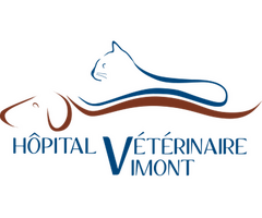 Hôpital Vétérinaire Vimont - Laval's 7/7 Animal Hospital: Compassionate Care & Advanced Technolo