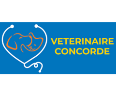 Clinique Vétérinaire Concorde - Laval: Affordable, Quality Pet Care You Can Trust