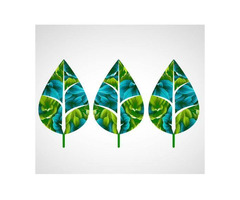 Centre de Solution Santé - Laval: Naturopathy, Osteopathy, Massage Therapy & More | Family-Owned