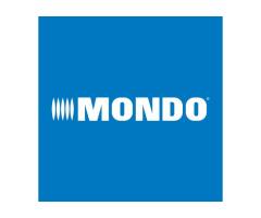 Mondo America: The Surface of Champions