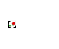Fleuriste la Diva: The Premier Hospital & Everyday Florist
