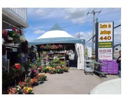 Centre de Jardinage 440: Auteuil’s Landscaping & Floral Hub