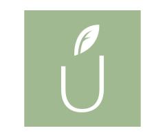 Vertuose: Modern Plant Design & Corporate Floristry